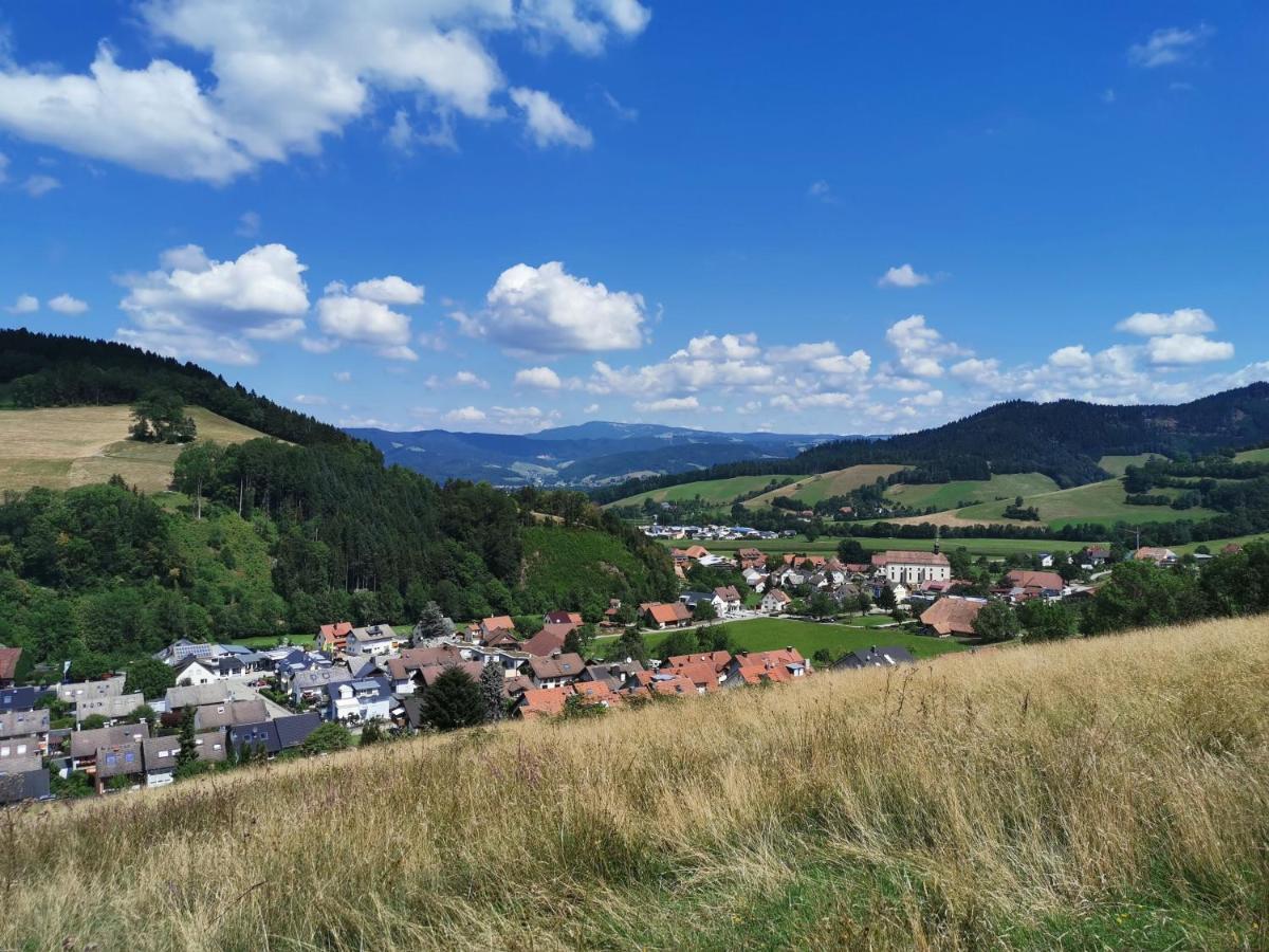 Goldener Adler Oberried - Hotel & Appartements 외부 사진